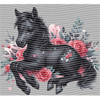 Valentine's Day-QRJ  5853